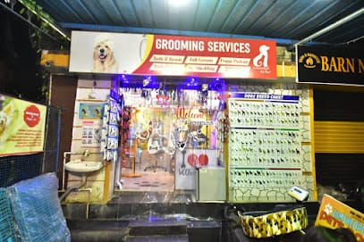 Jamshedpur pets point | Best pet shop in jamshedpur | Best Aquarium shop in jamshedpur business photograph