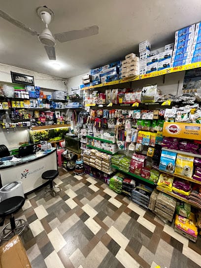 Aquatic Kart business photograph