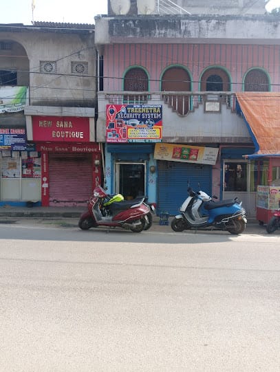 TREENETRA SECURITY SYSTEM business photograph