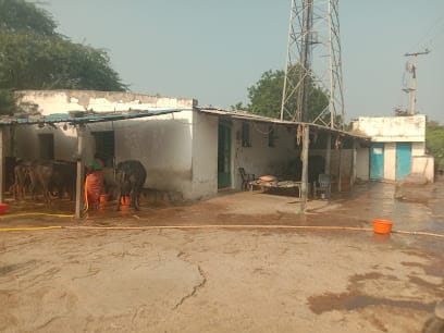 Sri Krishna Organic Buffalo Milk Farms panchalingala business photograph