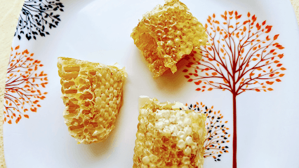 Bee Research Center Honey shop business photograph