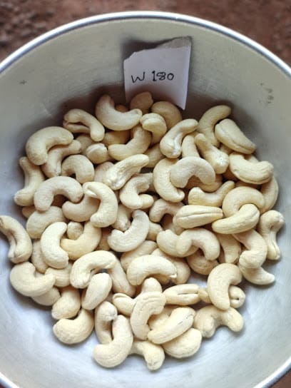 Thakur Agro Products business photograph