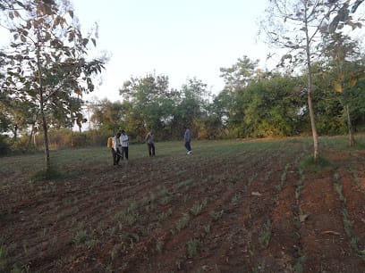 AGRIFRIEND business photograph