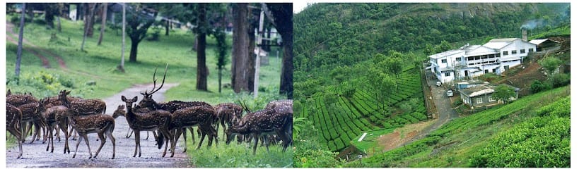 Quick Online Service business photograph