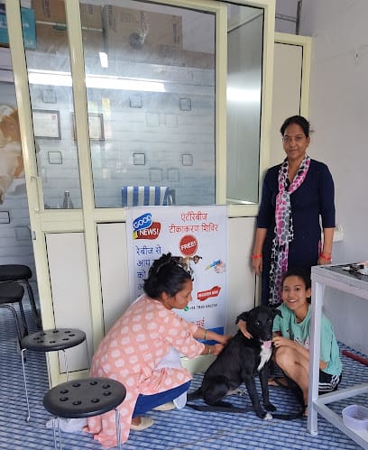 Dr. Deepa pet vet clinic business photograph