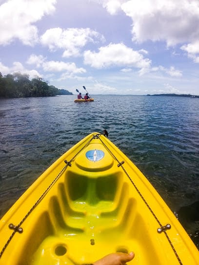 Island Grooves Adventures and Holidays business photograph