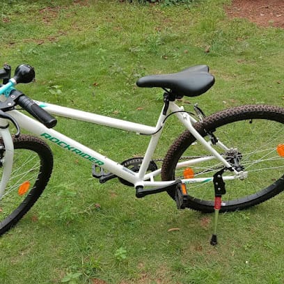 Andrew's Bicycle Rentals & Electric -Cycles business photograph