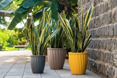 Terrassic - Garden Pots and Planters Store in Bangalore business photograph
