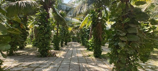 Vaishnavi Farms - Premium Event Venue business photograph