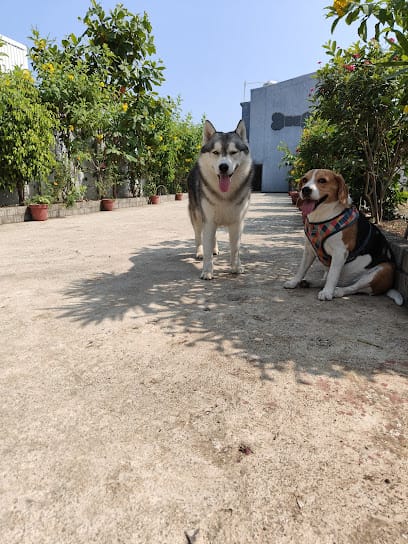 Woofy Pet Resort & Training Academy business photograph