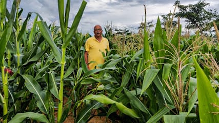 Farm Stories - Organic Store business photograph