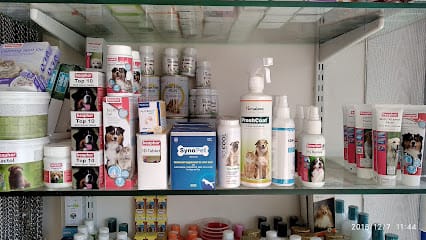 PetVet business photograph