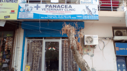 Panacea Veterinary Clinic business photograph