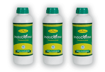 Indus Valley Fertilizers Private Limited business photograph