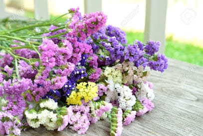 GREEN VALLEY FARM, Mahabaleshwar. ग्रीन वॉली फार्म, महाबळेश्वर. business photograph