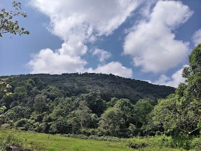 COORG TRAVEL HUB business photograph