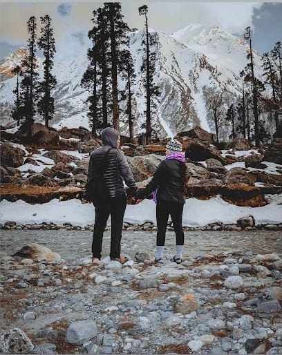 the insight trips business photograph