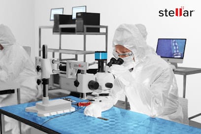 Stellar No.1 Data Recovery Service - Mumbai business photograph