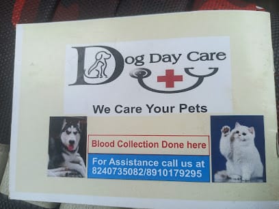 Dog Day Care business photograph