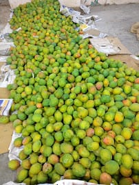 Royal Fruits business photograph