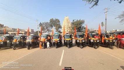 Hampi tour with Badri auto rickshaw driver business photograph