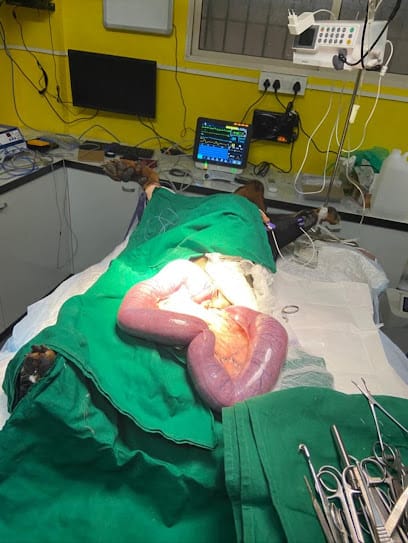 Petmates Companion Animal Care Clinic business photograph