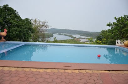 The Yoga Institute, Goa - Yoga Teacher Training business photograph