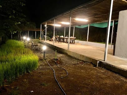 Best Grapes Farm, Kone business photograph