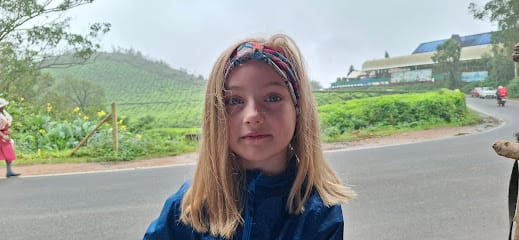 Munnar Berg Tours & Travels business photograph