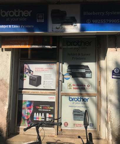 BlueBerry Systems business photograph