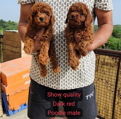 R&N pets and KENNEL business photograph