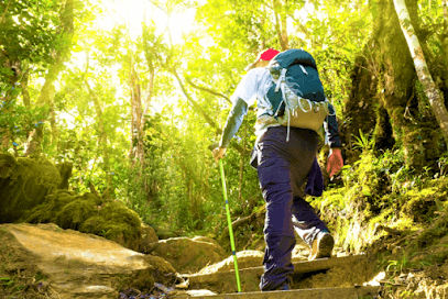 THINK n MakeR (Best Travel Agency in Andaman Islands) business photograph