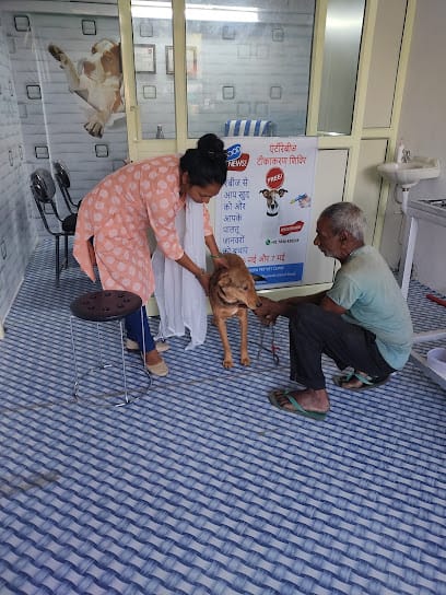 Dr. Deepa pet vet clinic business photograph