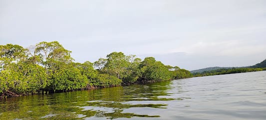 Havelock tour business photograph