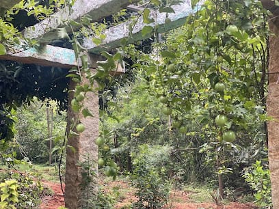 Nandi Nisarga Dhama (NaNidam) business photograph