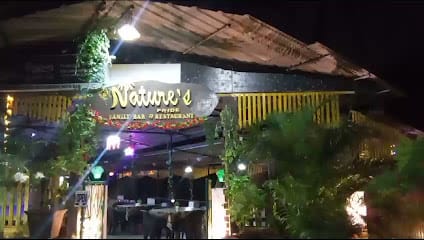Nature's Pride Restaurant best restaurant in south goa business photograph