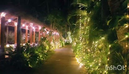 ARADANA SOUNDS (light and sounds rentals) business photograph