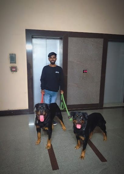 Dog-O-Cares – Home Grooming, Dog Walking & Pet Boarding business photograph