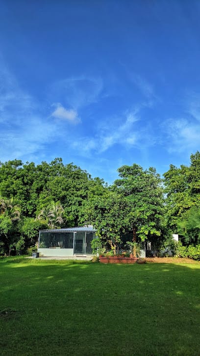 Starseed Studio business photograph