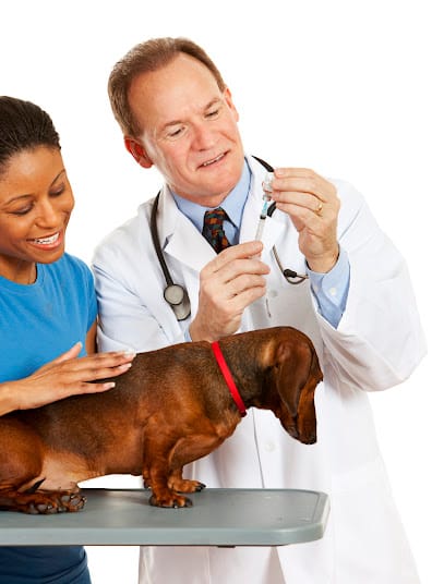 Dog Clinic / Pet Shop business photograph