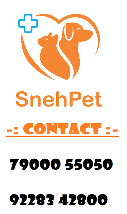 Sneh Pet HosPETaL business photograph