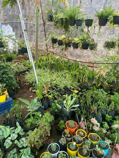 Crescent plants & nursery business photograph