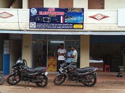 Ani Electronics business photograph
