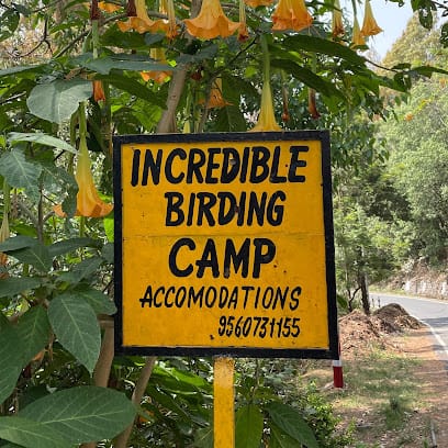 Incredible Birding Camp business photograph