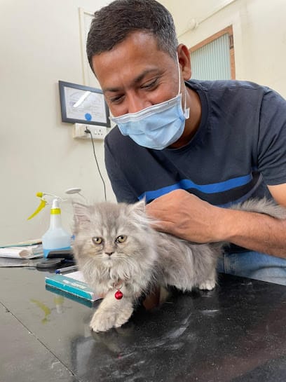 Aruna Anand Pet Clinic business photograph