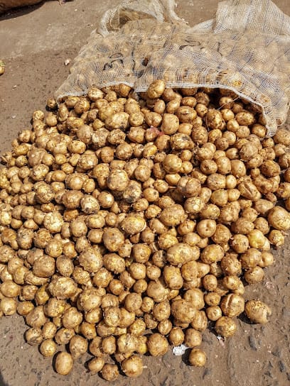 Arjunmal And Sons business photograph