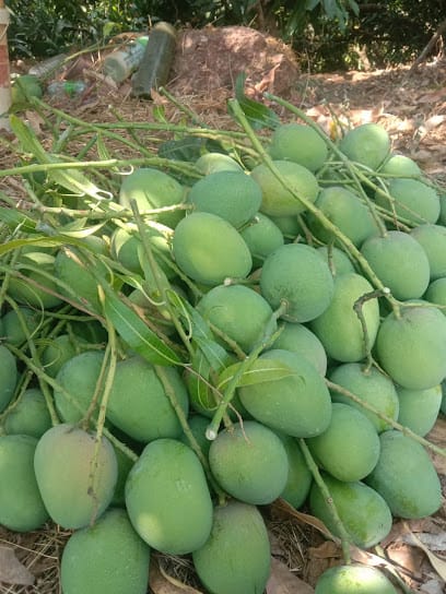 Rane Devgad Hpaus business photograph