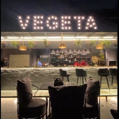 Vegeta - Fine Dine & LOUNGE business photograph