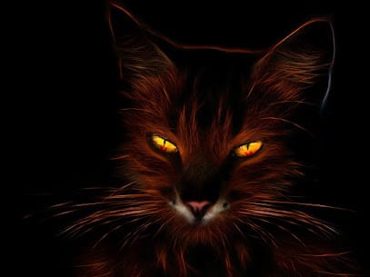 Matrimonial Detective Agency in Delhi business photograph