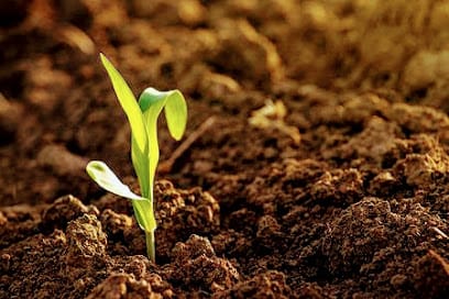 Madho Agro Industry (Regd) business photograph